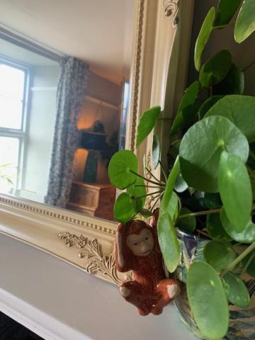 فيلا Dolgellau Townhouse 2 Minutes To Town & Mountains المظهر الخارجي الصورة